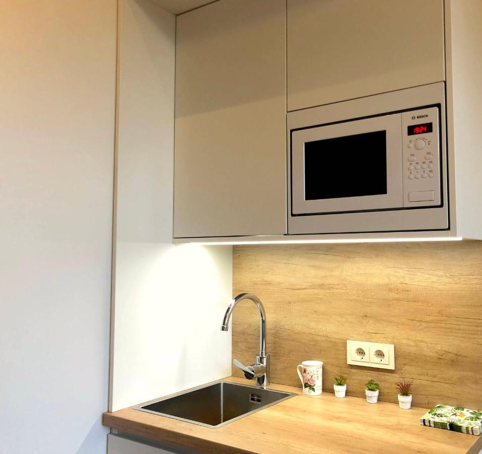 Centrally Located Apartment Overlooking Vermanes Park Riga Dış mekan fotoğraf